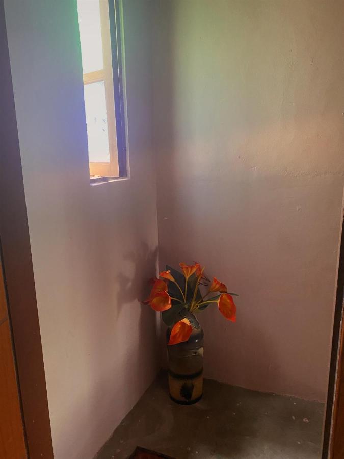 Appartement Apartamento Rustico à Cabo Frio Extérieur photo